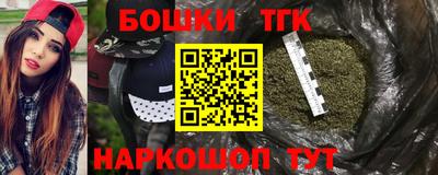 индика Протвино